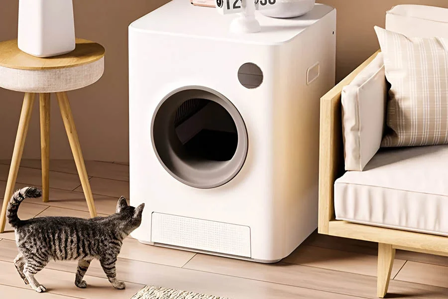 best no smell cat litter box