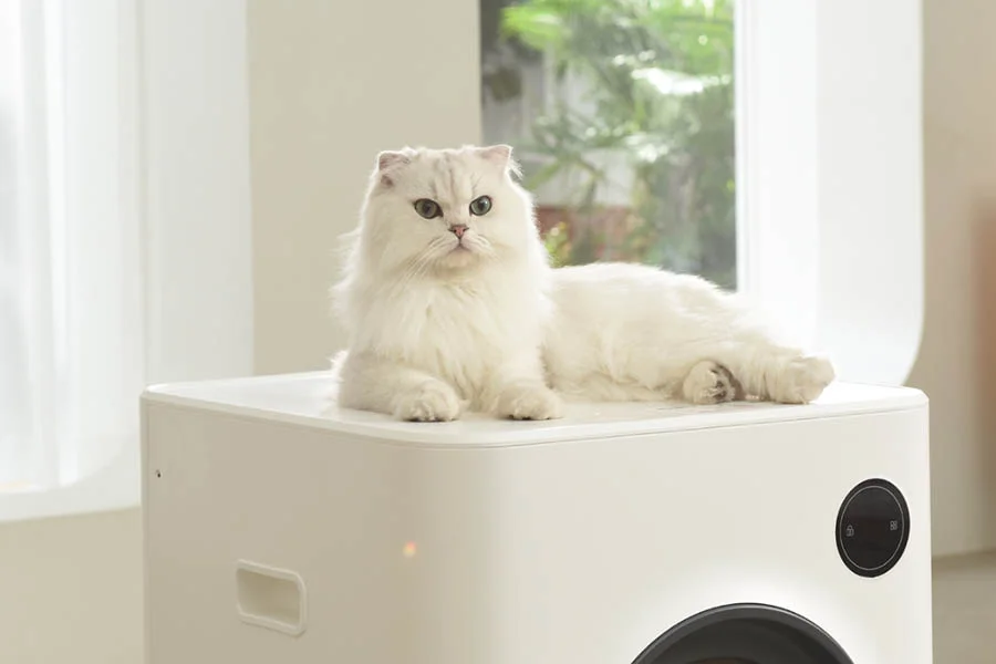 best no smell cat litter box