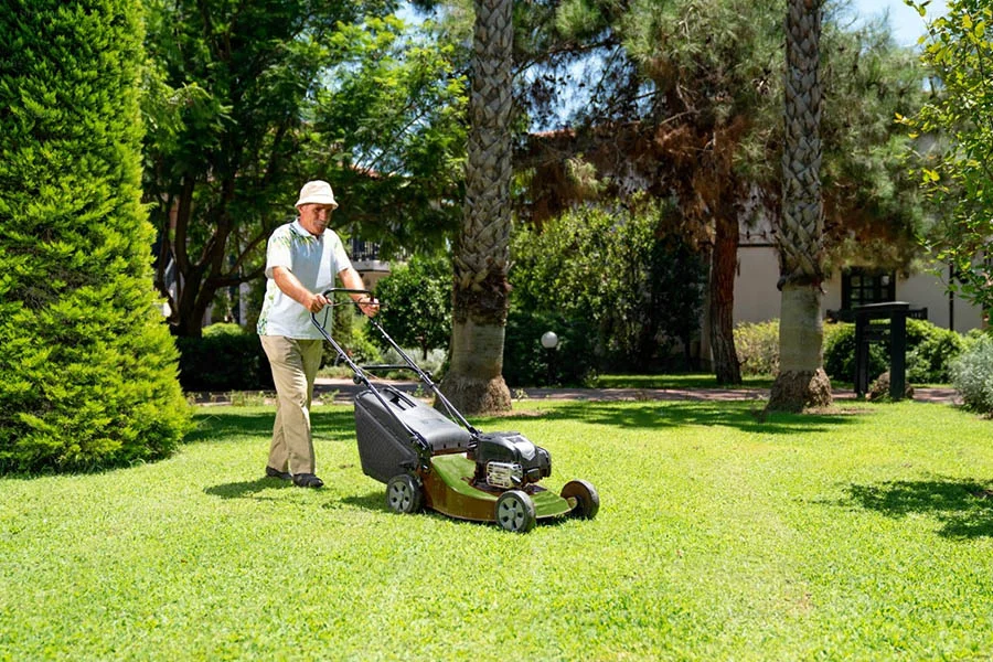 self propelled push lawn mowers